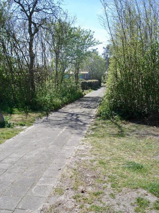Strandhuisje Daan Dicht Bij Zee En Strand カラントスウオーフ エクステリア 写真