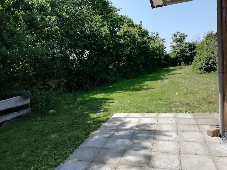 Strandhuisje Daan Dicht Bij Zee En Strand カラントスウオーフ エクステリア 写真
